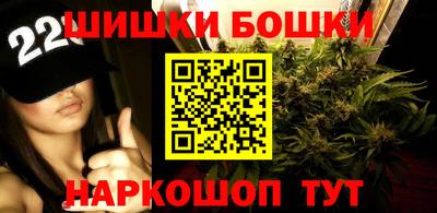 Альфа ПВП Будённовск