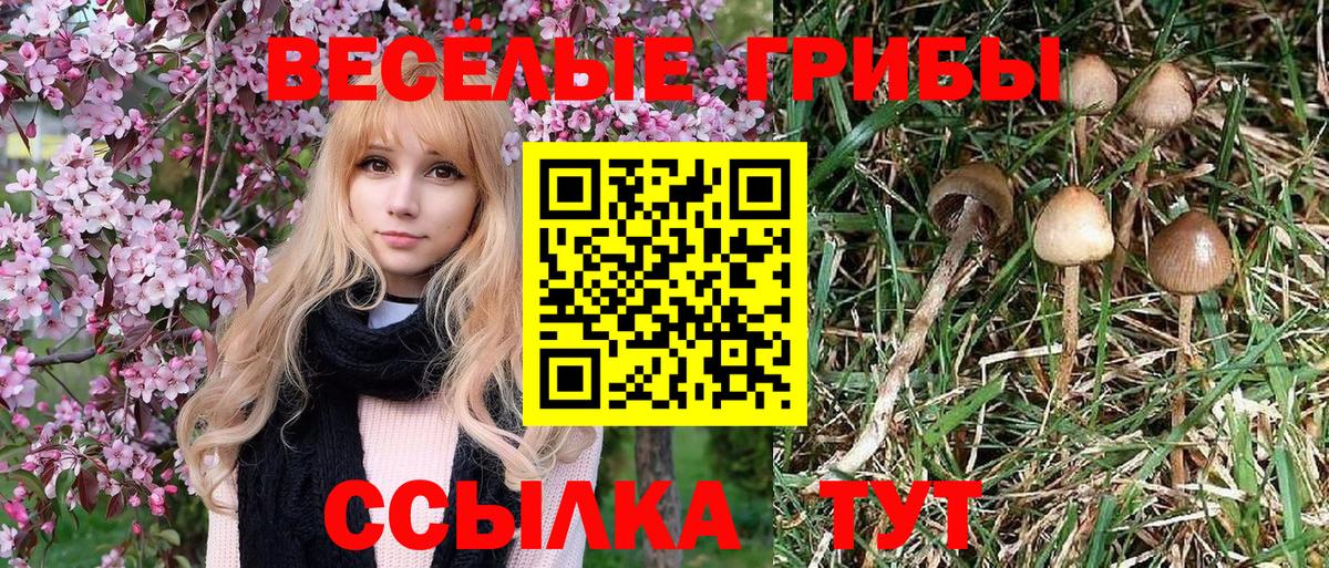 Псилоцибиновые грибы мицелий  Псилоцибиновые грибы Psilocybe  Слободской  где найти наркотики  Вход с VPN 